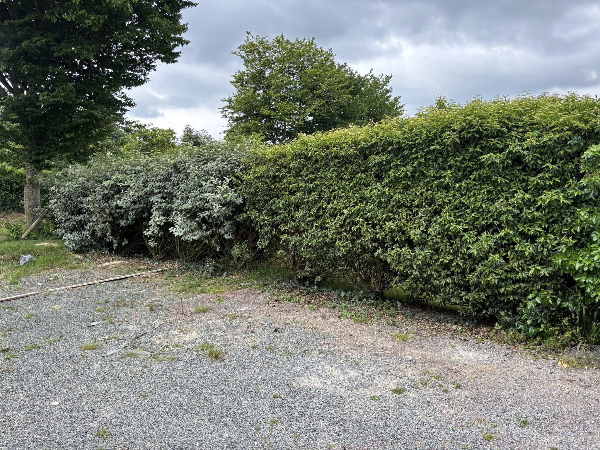 before-image